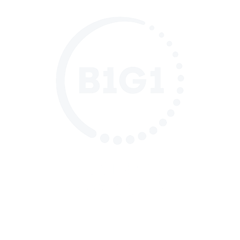 2.1. White - Vertical - Impact Partner